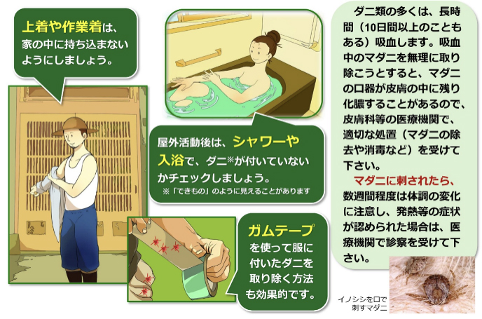 マダニから身を守る方法2